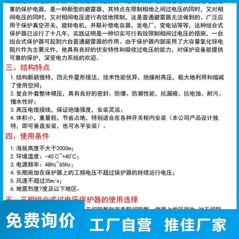 保护器(组合式避雷器)YH5WS-10/30*10/30