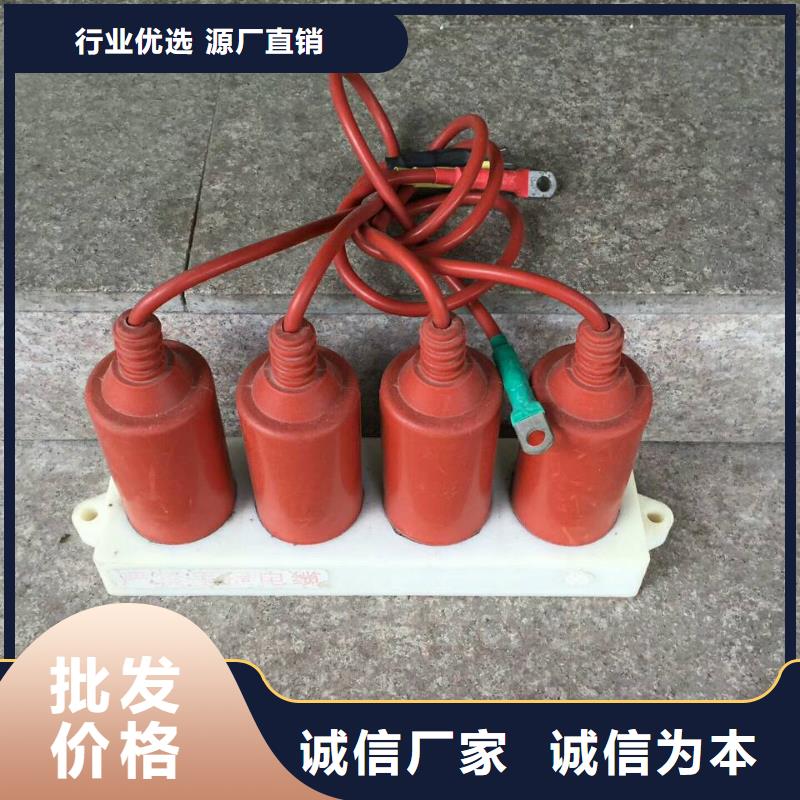 保护器(组合式避雷器)BSTG-C-7.2-J