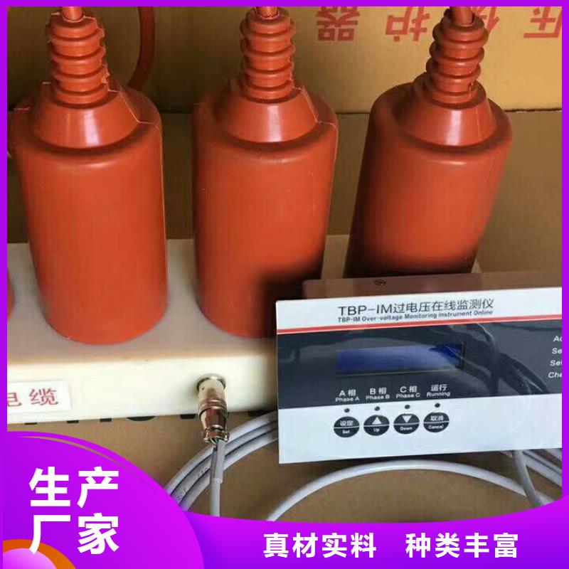 【过电压保护器/避雷器】TBP-B-10.5/85