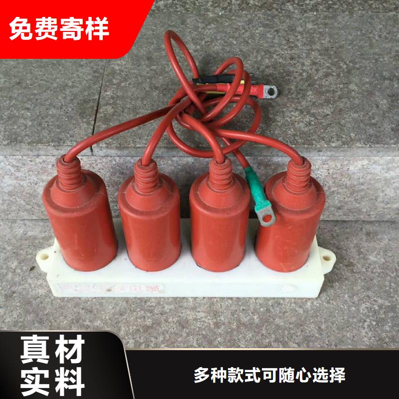 【组合式避雷器】TBP-B-42/630W