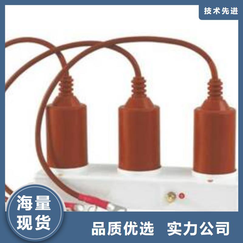 【组合式避雷器】TBP-A-42F/630W