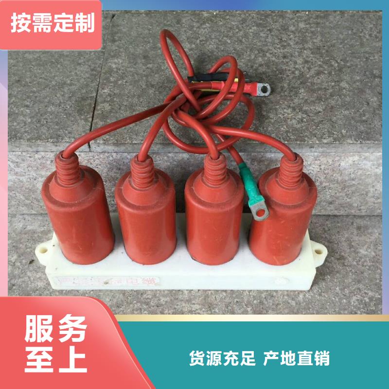 【组合式避雷器】TBP-B-42/630W