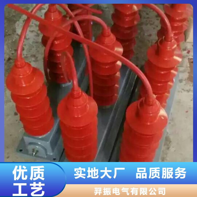 保护器(组合式避雷器)RY-GDY1-A/6组合过电压保护器