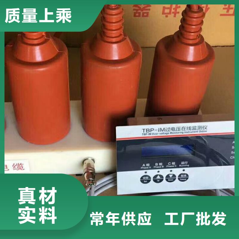 过电压保护器(组合式避雷器)高压组合式避雷器BWKP-C-7.6/131-J