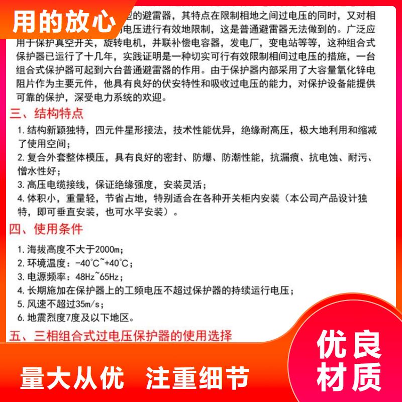 保护器(组合式避雷器)TBP-B-12.7/280W2