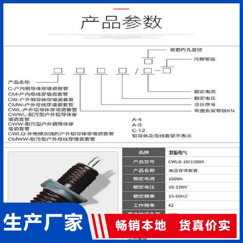 【羿振电力】AC10KV穿墙套管陶瓷2000A无CT铜