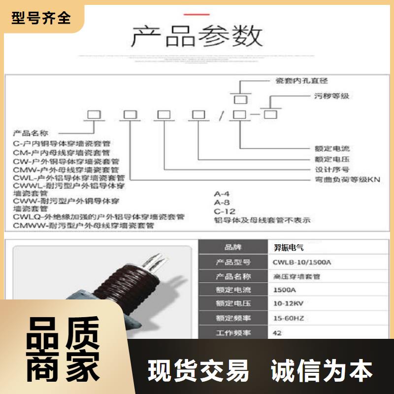 穿墙套管CWWL-20/3000.