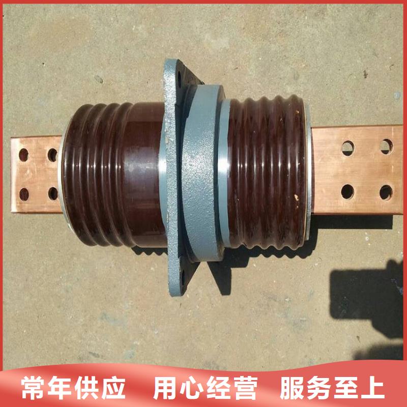 穿墙套管/CWW-10KV/3150-3浙江羿振电气有限公司