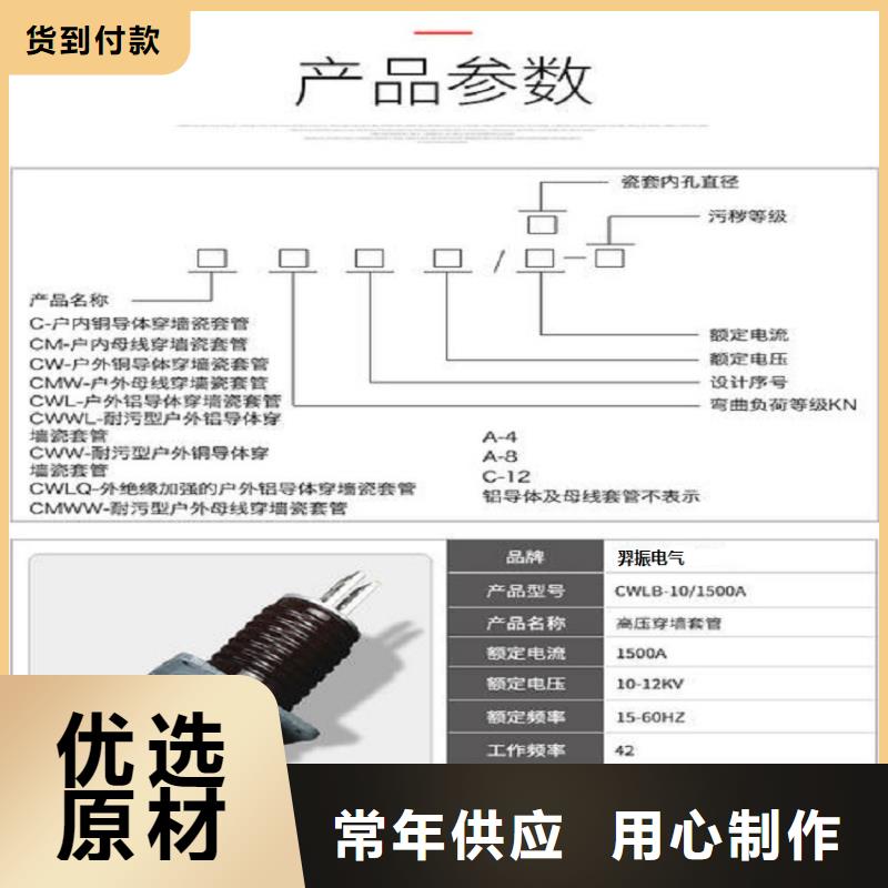 【穿墙套管】CWWL-20/1250A