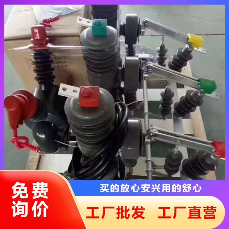 品牌：【羿振电气】/断路器开关.AC10kV.真空.无组合.630A.分界开关/多少钱