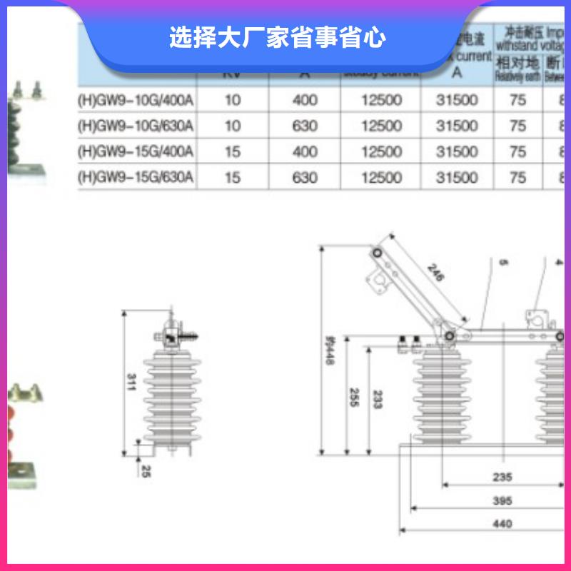 【户外高压隔离开关】HGW9-10G/200A