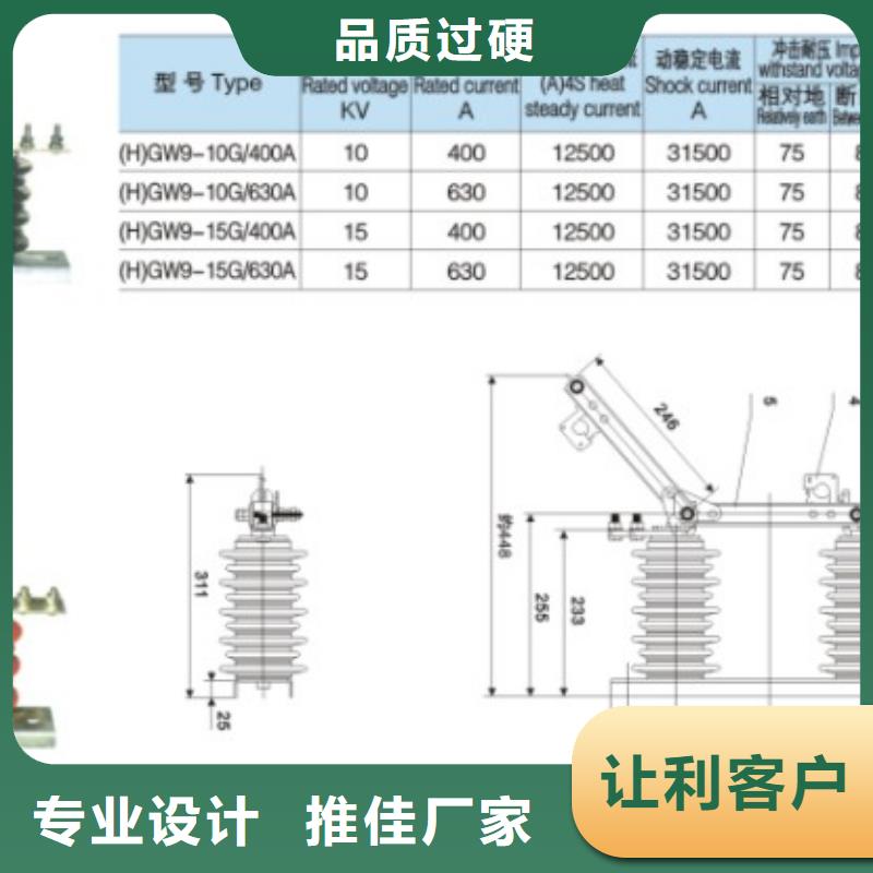 高压隔离开关：HGW9-10KV/200畅销全国