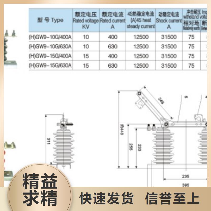 户外高压交流隔离开关：HGW9-12KV/200现货齐全