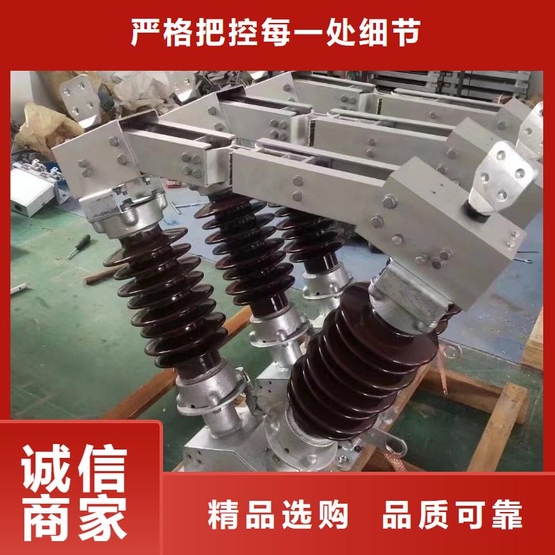 户外高压隔离开关HGW1-10KV/400A