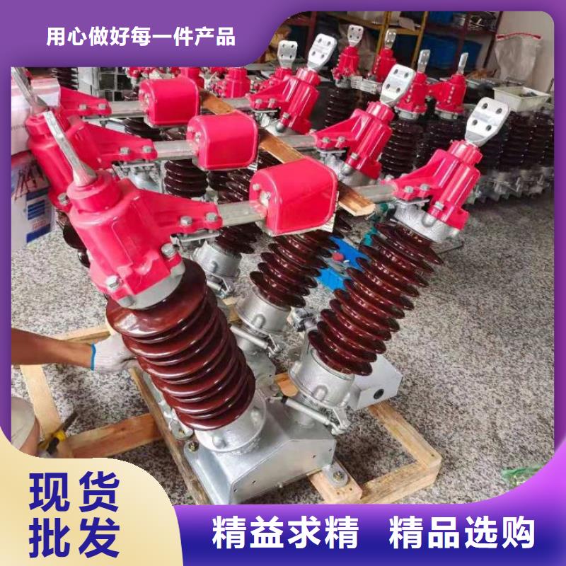 户外高压隔离开关HGW1-10KV/400A