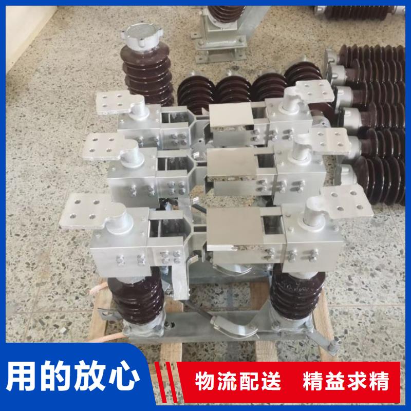 户外高压隔离开关HGW1-10KV/400