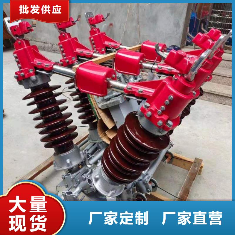 户外高压隔离开关HGW1-12KV/400A