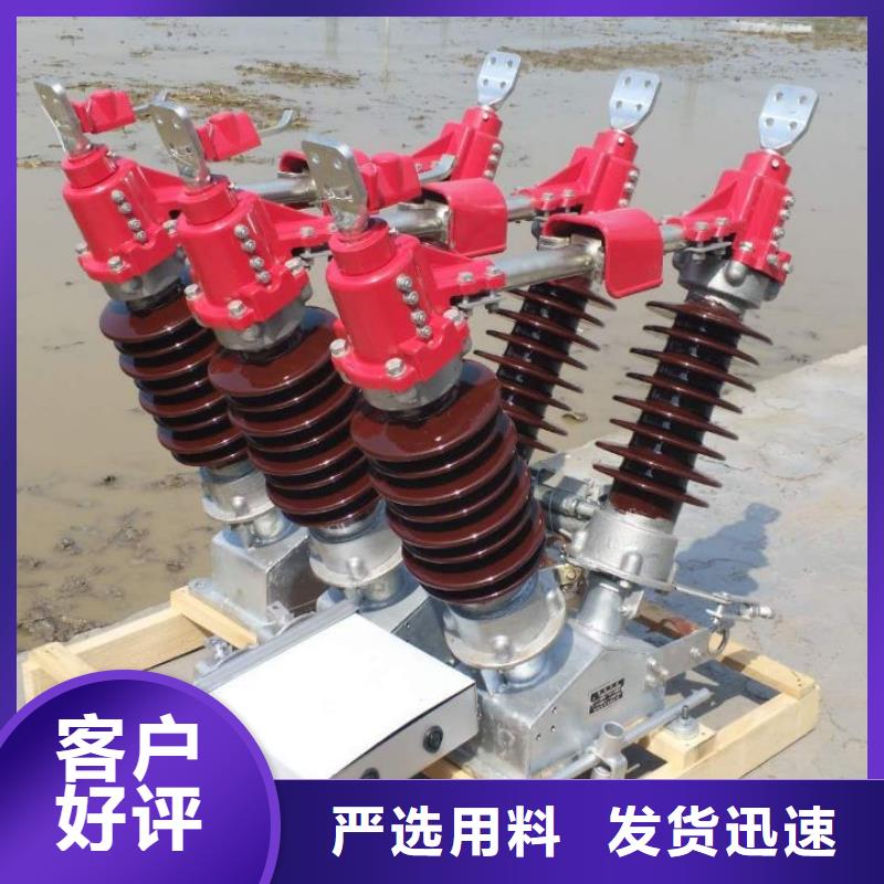 户外高压隔离开关HGW1-10KV/400A