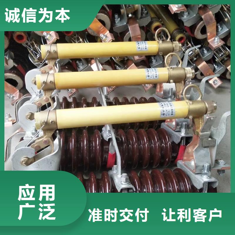 【羿振电力】PRW12-15KV/100跌落式熔断器生产厂家
