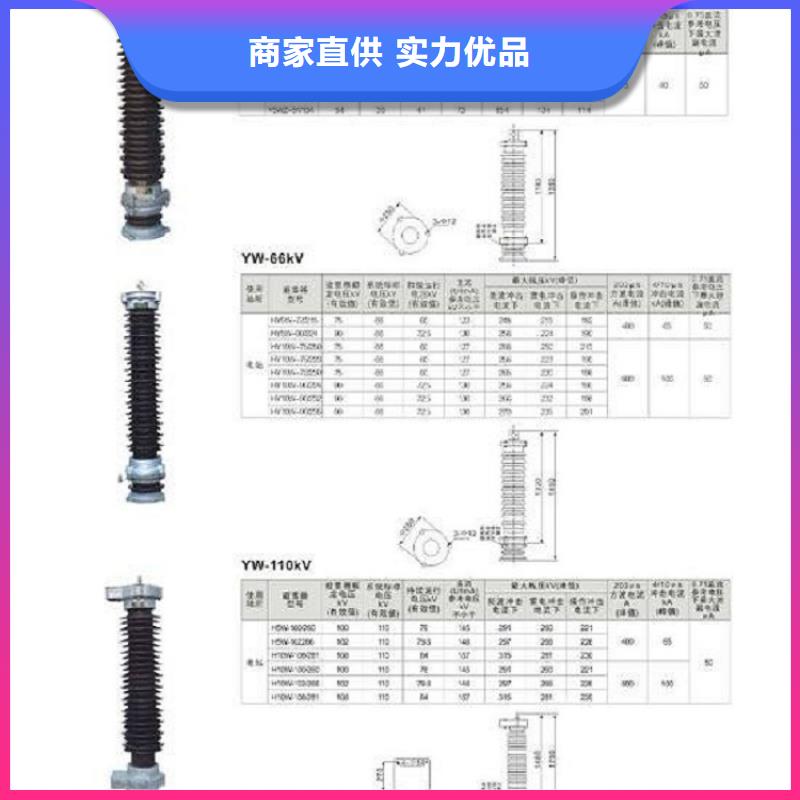 避雷器Y10W1-96/250.