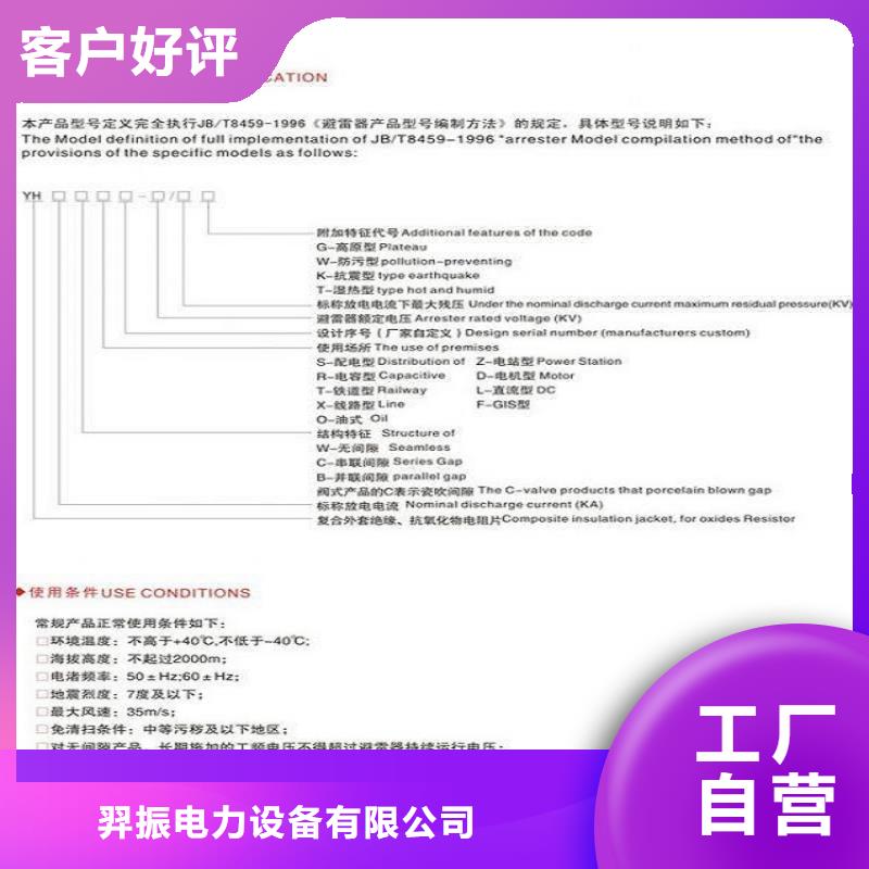 _复合外套氧化锌避雷器YH10WZ-51/134【羿振电力设备】