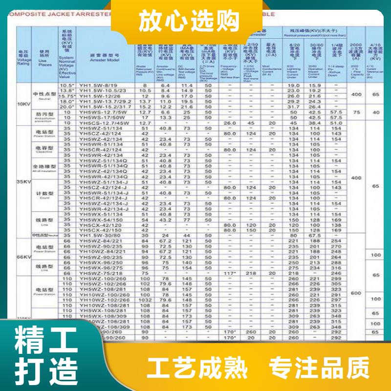 金属氧化物避雷器Y10W-108/281