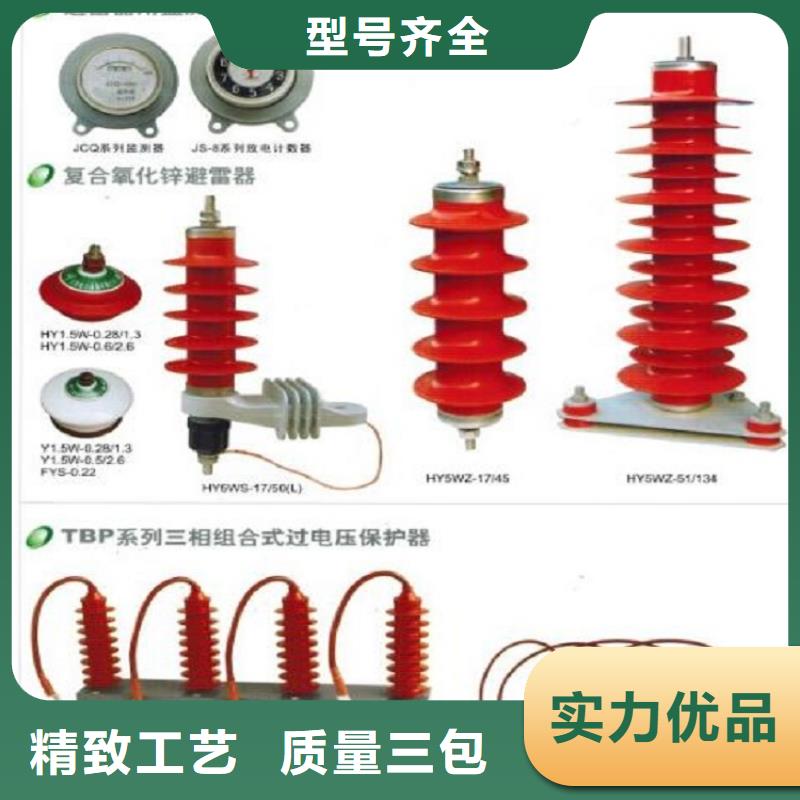 可卸式避雷器HY5WS-17/50DL-TB浙江羿振电气有限公司