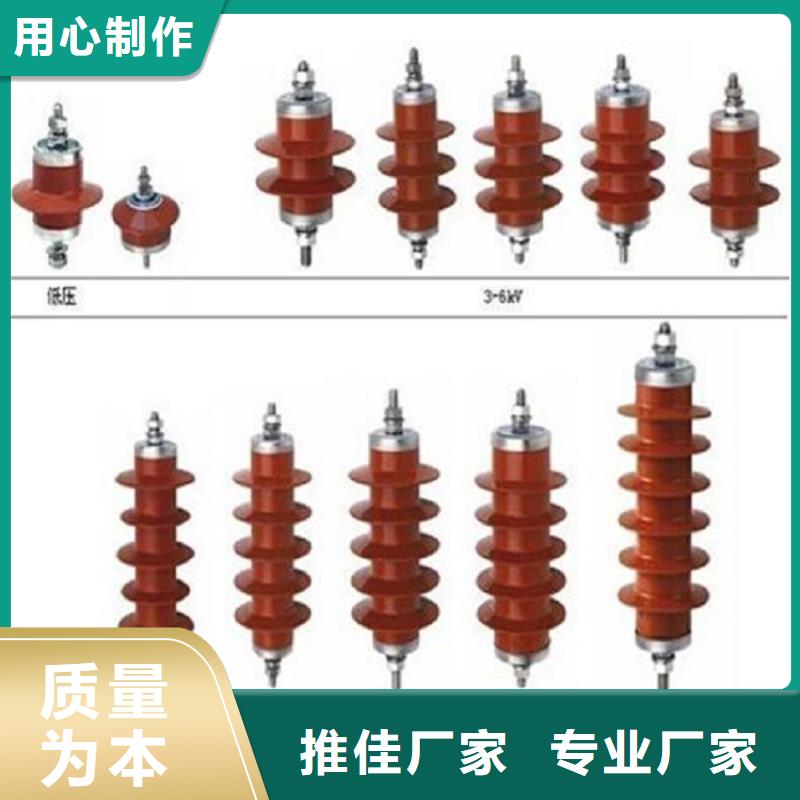 _避雷器YH10CX-90/260K【羿振电力设备】