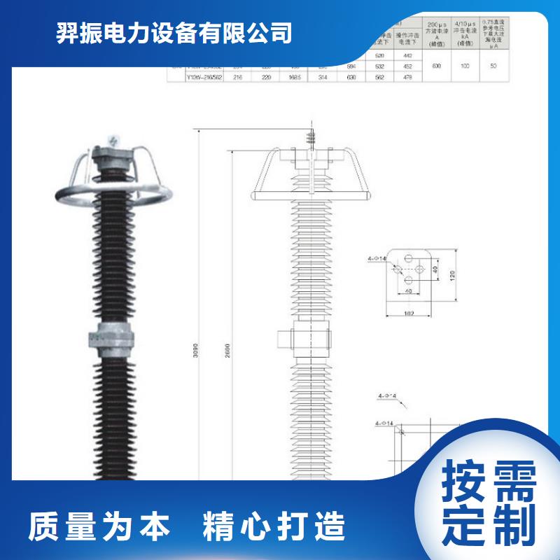 避雷器Y10W-200/520浙江羿振电气有限公司