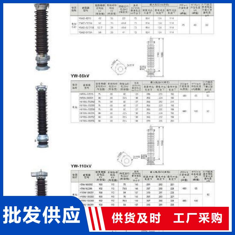 可卸式避雷器HY5WS-17/50DL-TB浙江羿振电气有限公司