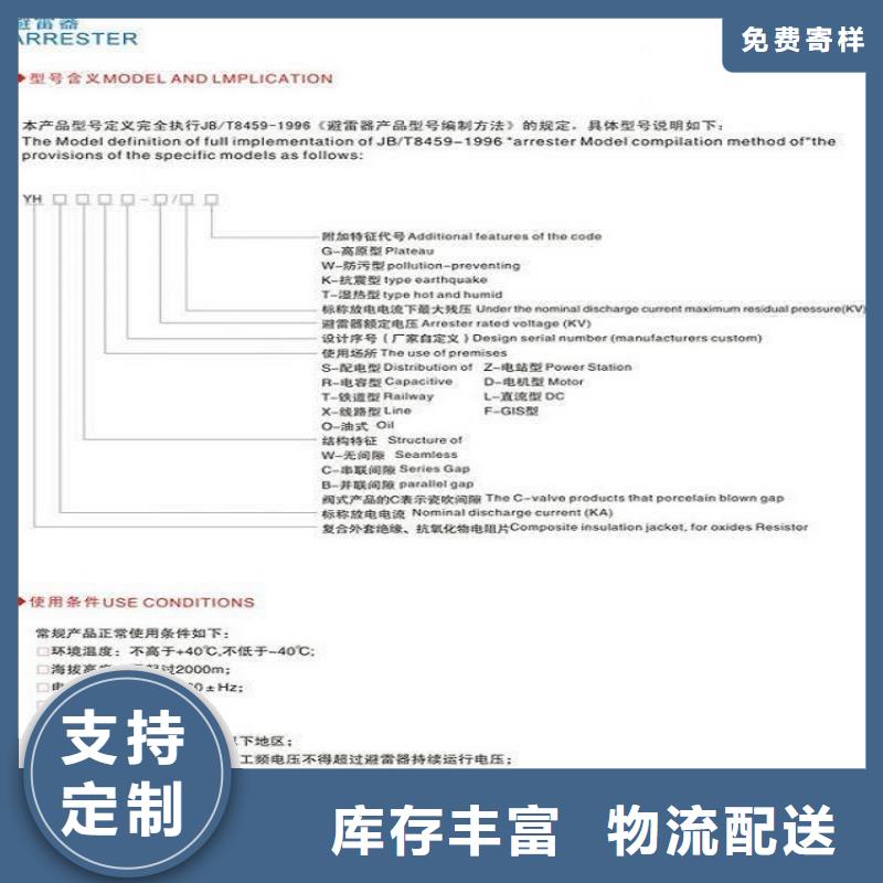 _避雷器YH10CX5-100/260，放电计数器【羿振电力设备】