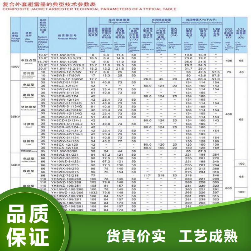 避雷器Y2.5W-12.7/31【上海羿振电力设备有限公司】