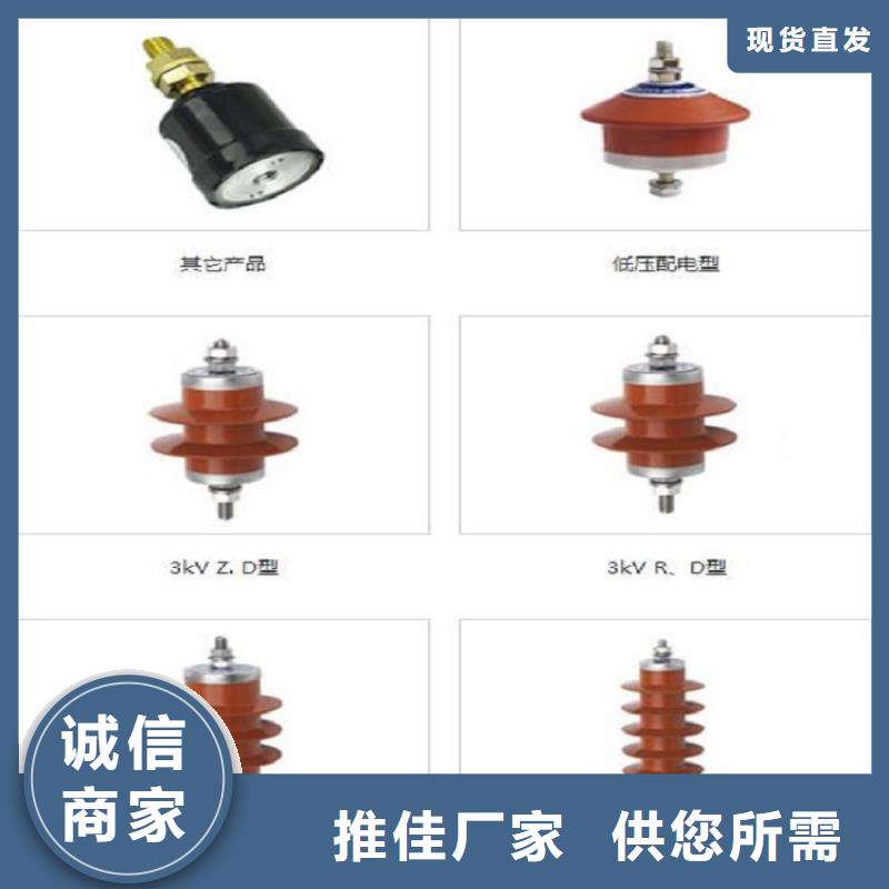 【避雷器】Y10W-52.7/134