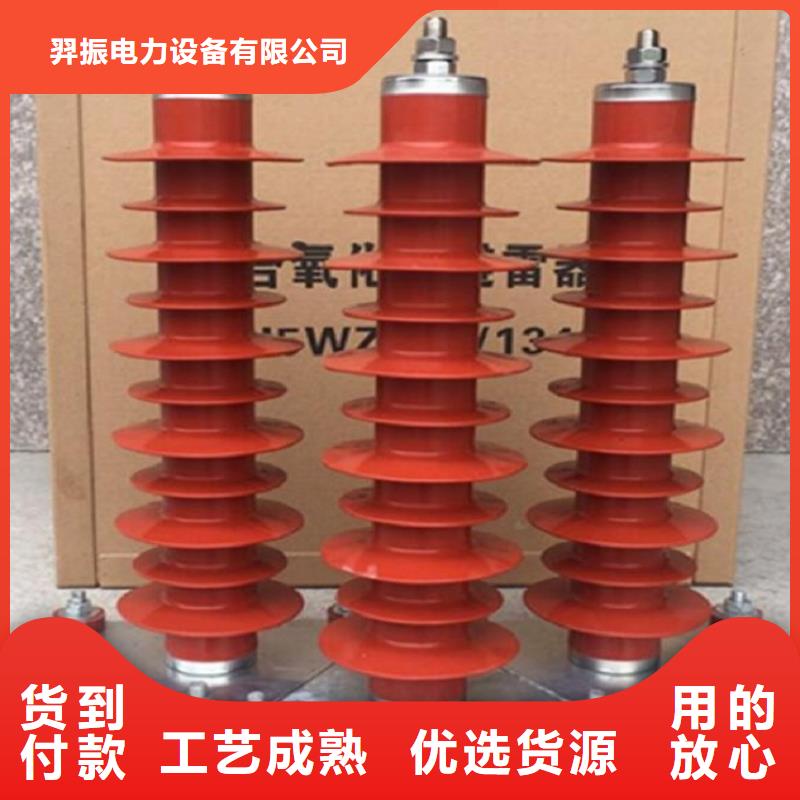 避雷器Y10W-96/232浙江羿振电气有限公司