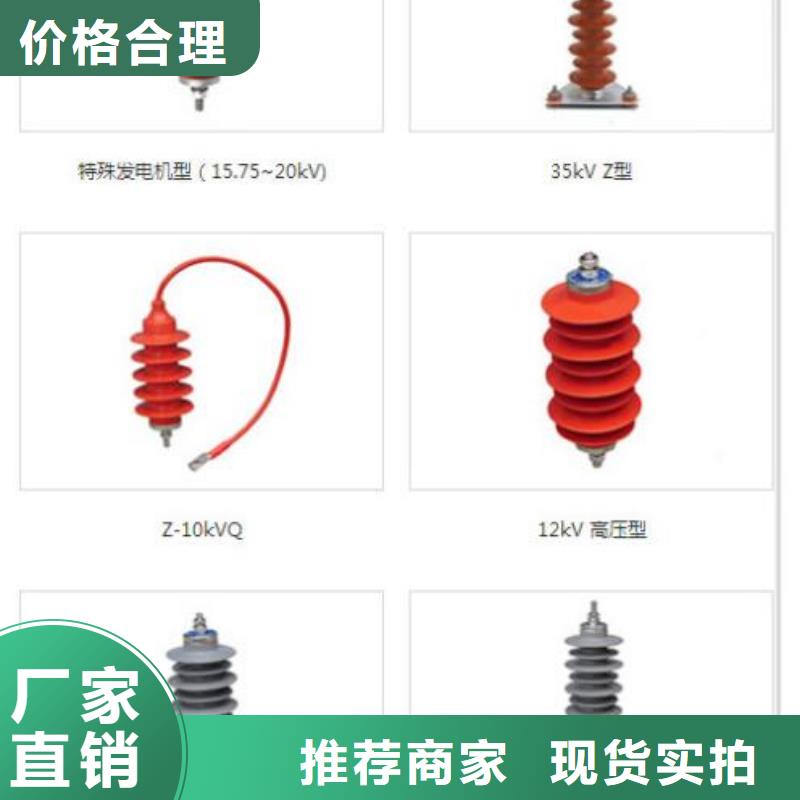 【避雷器】Y10W-52.7/134