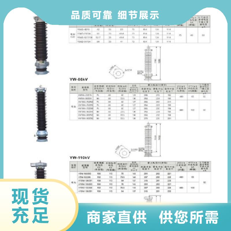 瓷外套金属氧化物避雷器Y10W-200/496浙江羿振电气有限公司