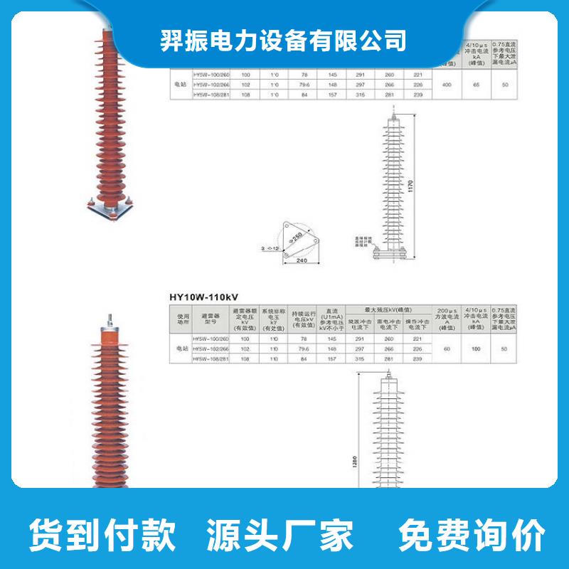 瓷外套金属氧化物避雷器Y10W-200/496浙江羿振电气有限公司