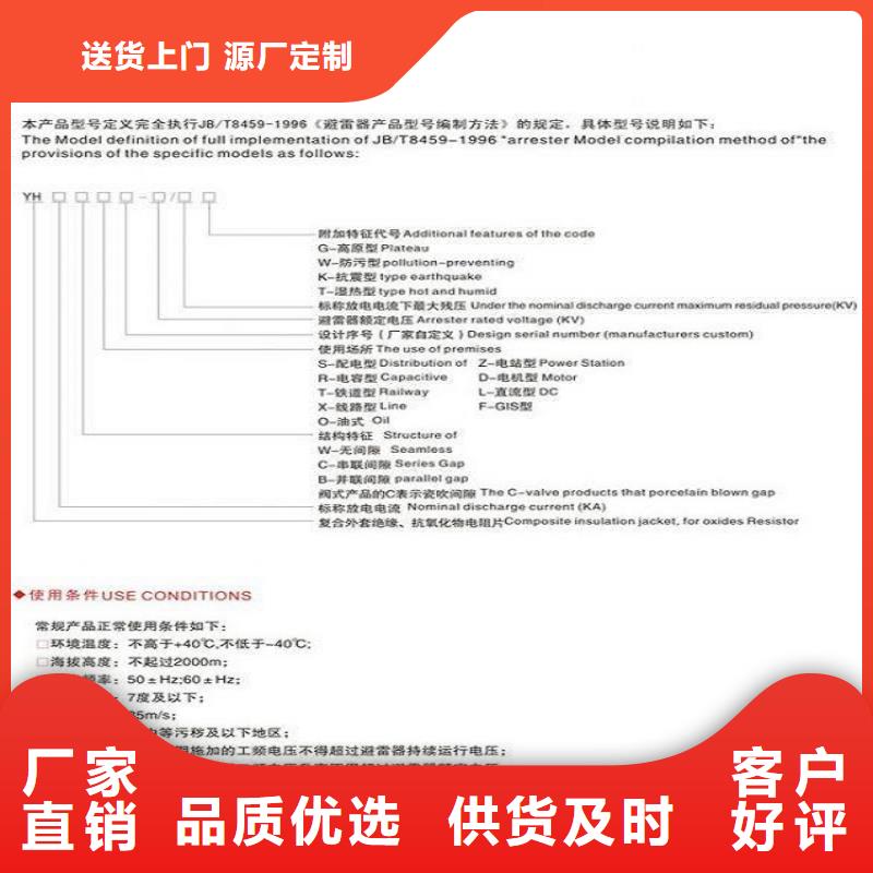 【避雷器】Y5W5-102/266