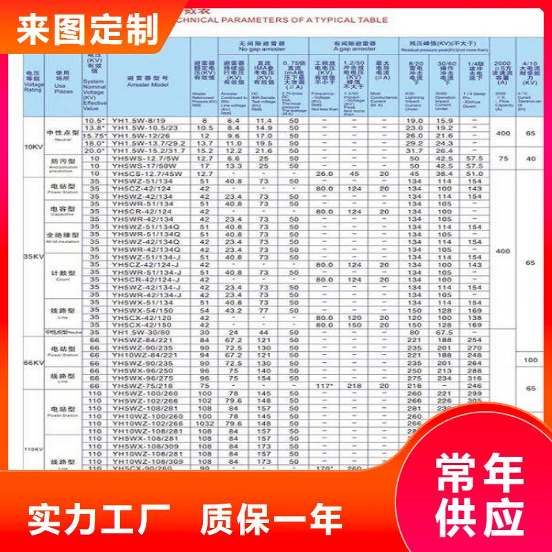 氧化锌避雷器Y5W1-45/126直供厂家