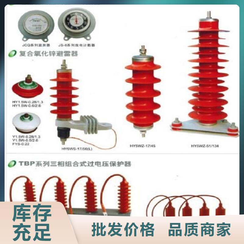 氧化锌避雷器Y10W-200/496