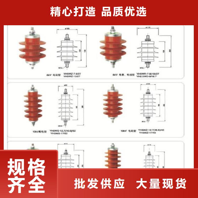 【羿振电力】避雷器HY5WS-17/45TLB