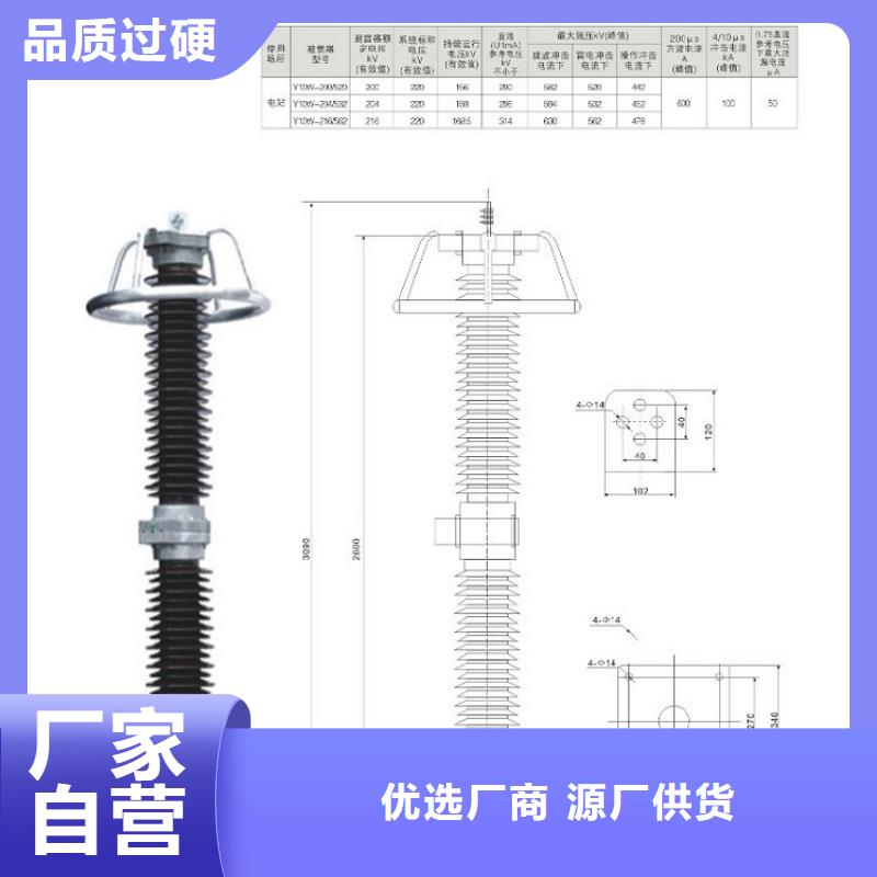 避雷器Y10W1-100/260上海羿振电力设备有限公司