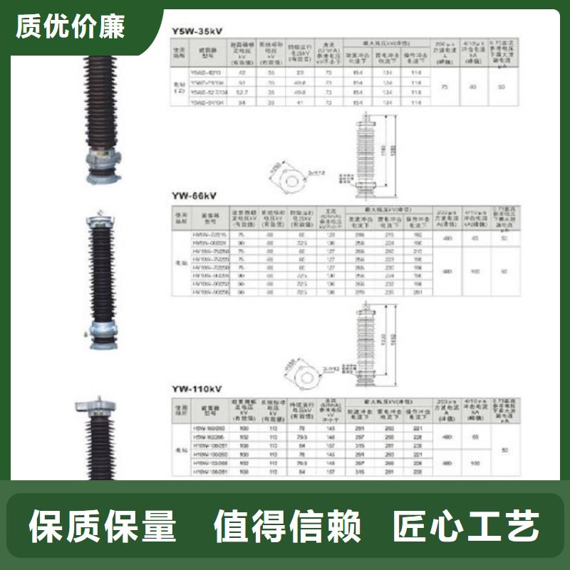 避雷器YH10WX5-96/260浙江羿振电气有限公司