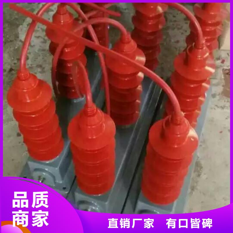 保护器(组合式避雷器)BSTG-B-7.6/600