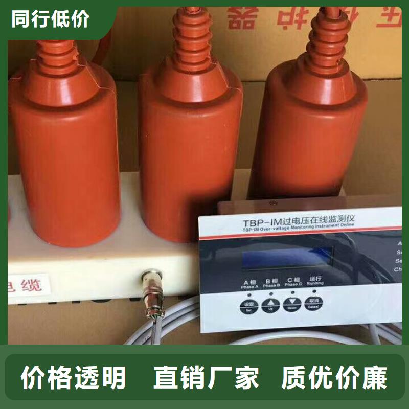 保护器(组合式避雷器)BSTG-B-7.6/600