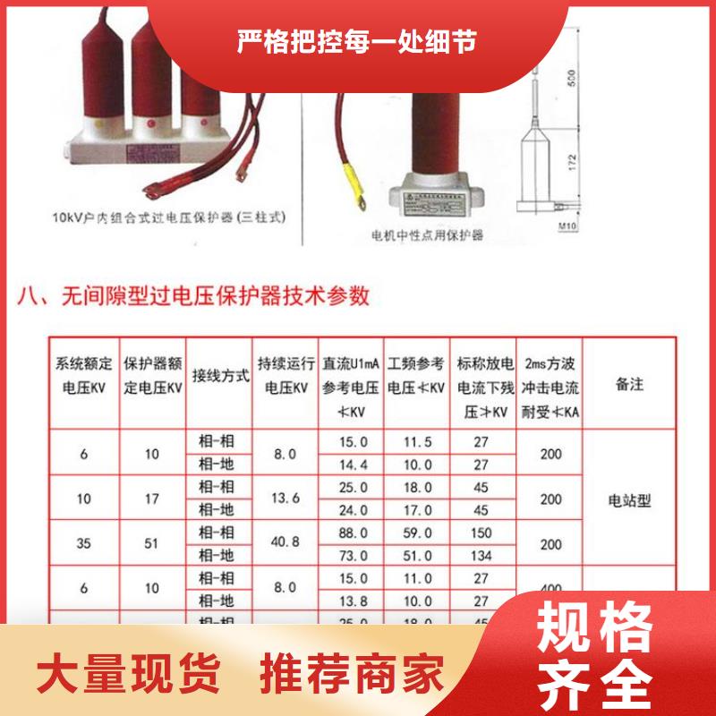 保护器(组合式避雷器)TBP-A-12.7/150-J