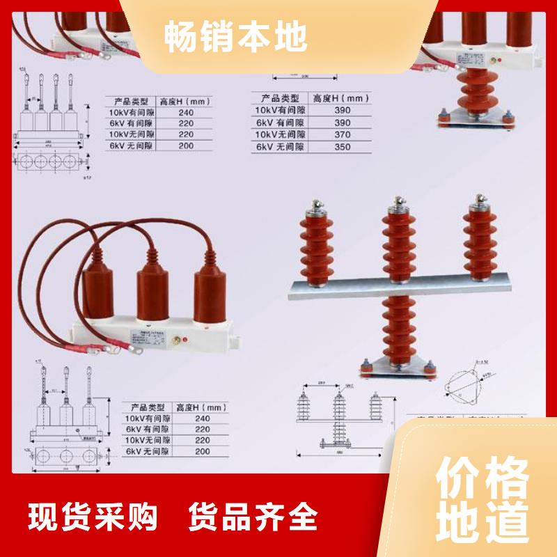 【过电压保护器/组合式避雷器】TBP-B-42F/630W