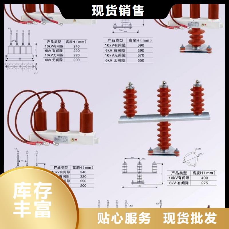 保护器(组合式避雷器)BSTG-B-7.6-J