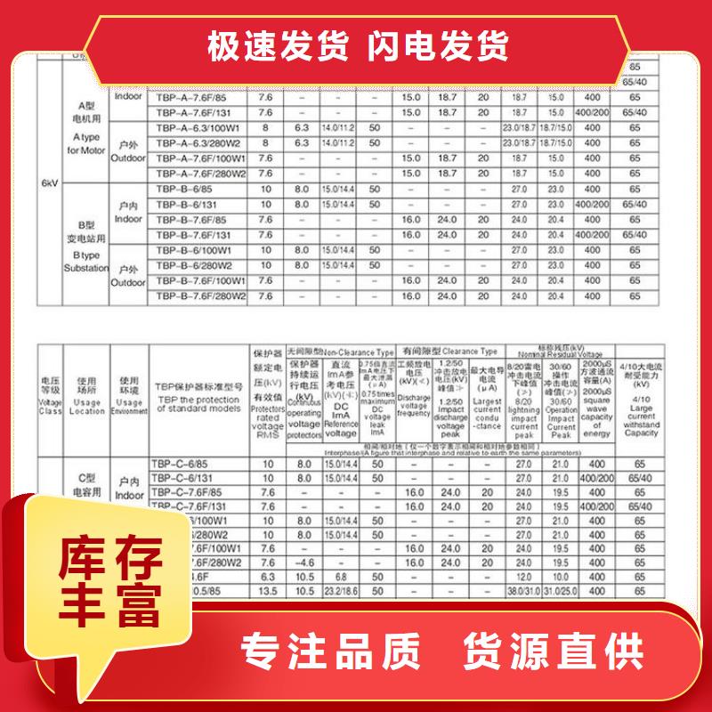 〖过电压保护器〗RY-GDY2-C/10组合过电压保护器实体厂家