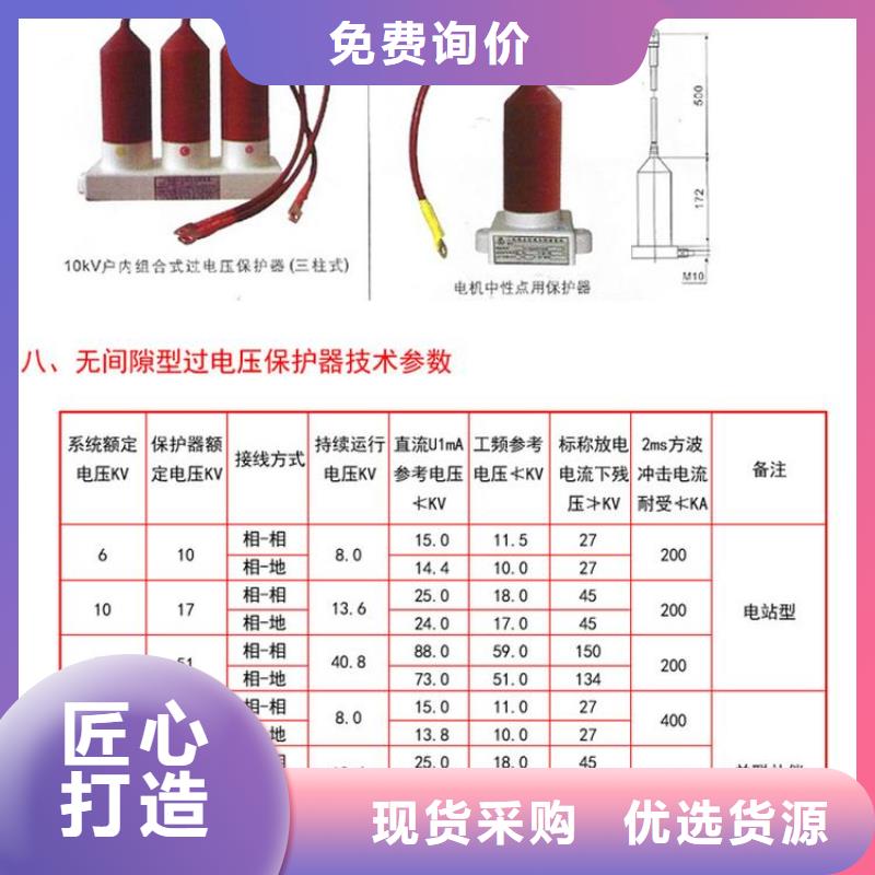 〖过电压保护器〗TBP-B-35/200了解更多